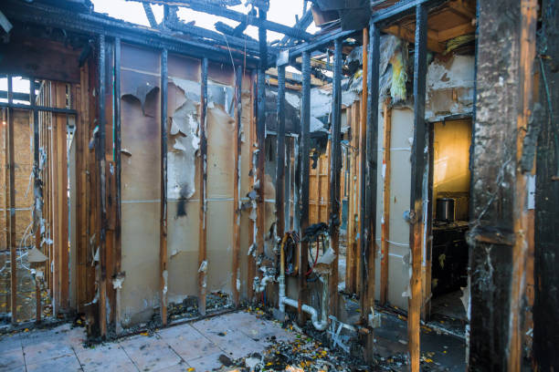 Professional Odor Removal technician working in Pixley, CA